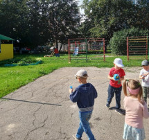 Мыльные пузыри Мыльные пузыри.